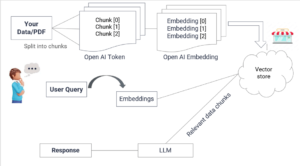 data processing LongChain Embedding